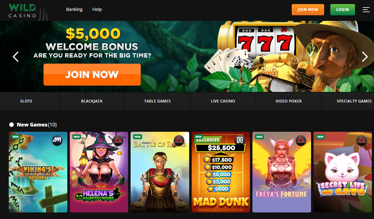 wild casino nieuwe online casinos nederland