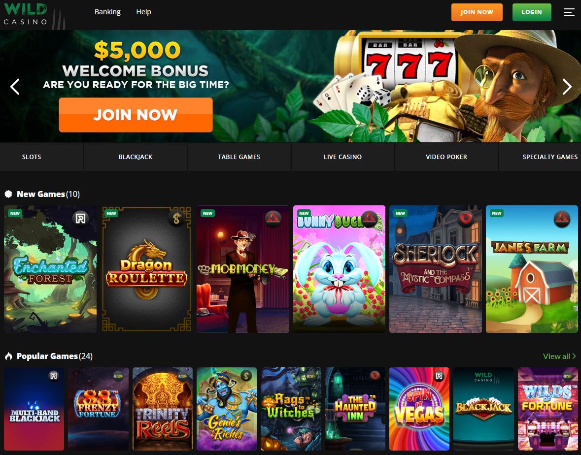 wild casino online paysafecard